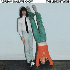 A Dream Is All We Know — The Lemon Twigs
