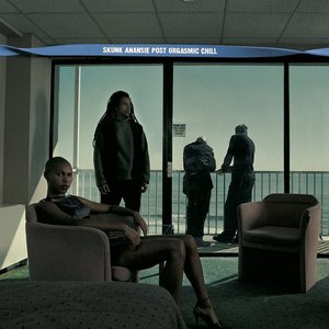 Post Orgasmic Chill — Skunk Anansie