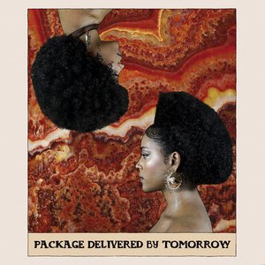 Package Delivered by Tomorrow — Adja