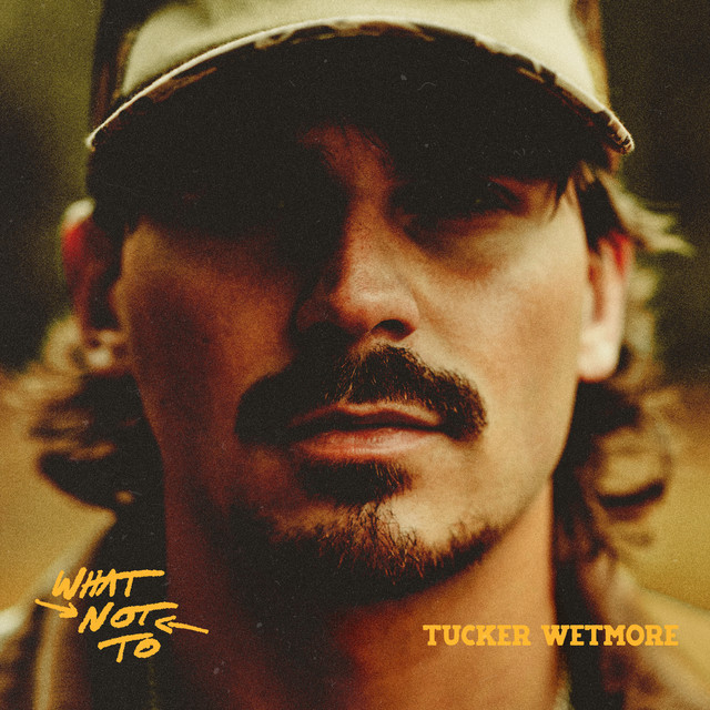 What Not To — Tucker Wetmore