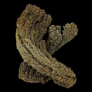 Emergence — Max Cooper