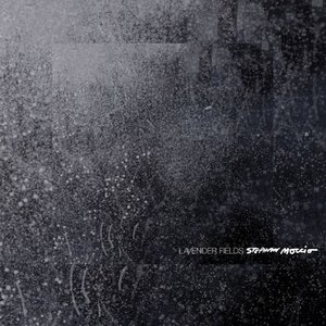 Lavender Fields — Stephan Moccio