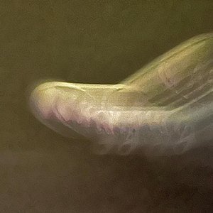 Place And Time — Joel Shearer