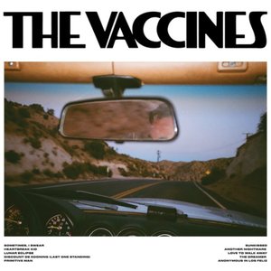 Pick-Up Full Of Pink Carnations — The Vaccines