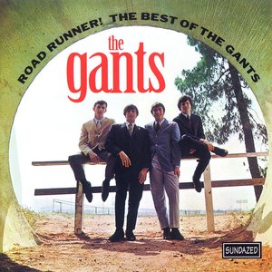 Road Runner! The Best Of The Gants — The Gants
