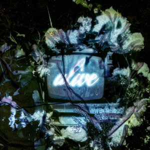 Alive — Honey I'm Home