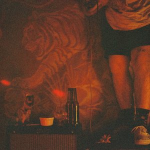 The Intergalactic Guide To Find The Red Cowboy — Sunflowers