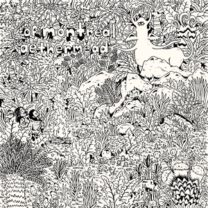 aethermead — of Montreal