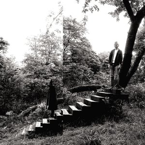 Timber Timbre (Deluxe) — Timber Timbre