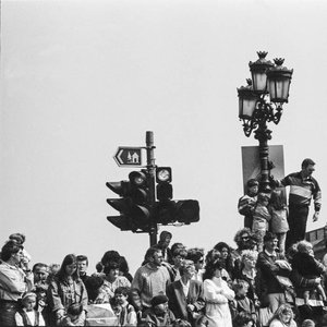 Information Blip — Search Results