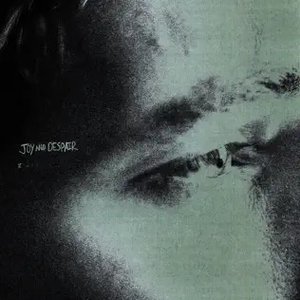 Joy and Despair — Charlie Noordewier