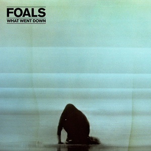 What Went Down — Foals