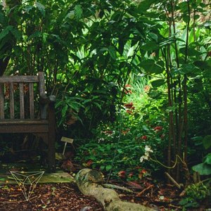 Closer — Oliver Henry