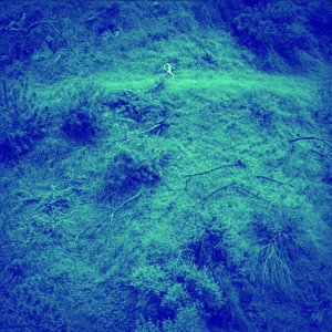 Swan Song — Anna Tivel