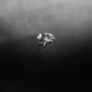 Free — Little Simz