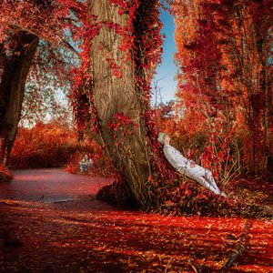 Flowers That Don't Exist — NEWĀRK