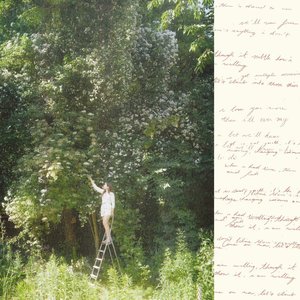 Sense & Nonsense — Ivy Falls