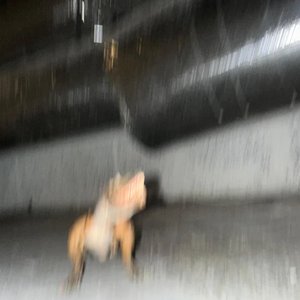 Stay Behind — Fig Tape