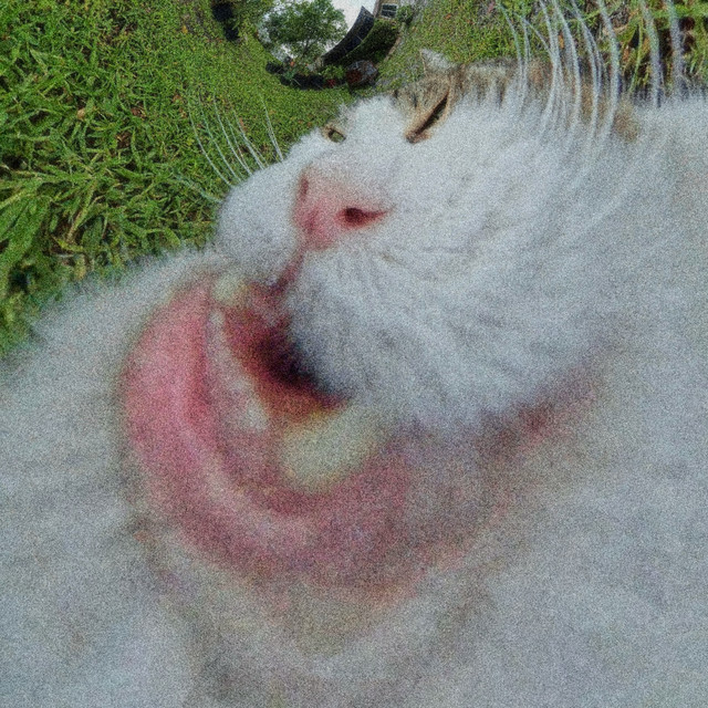 Pretty — Honey I'm Home