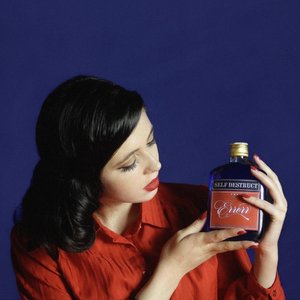 Self Destruct — ERRoRR