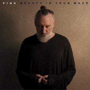 Beauty In Your Wake — Fink