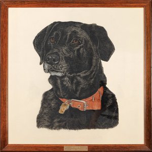 Hurricane Umbrellas — The Gunshy