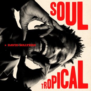 Soul Tropical — David Walters