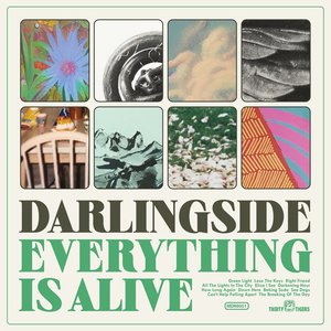 Everything Is Alive — Darlingside