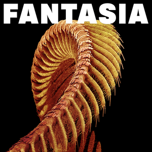 Fantasia — Slift