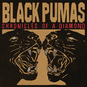 Chronicles of a Diamond — Black Pumas