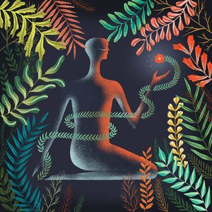 Don't Shy Away — Loma