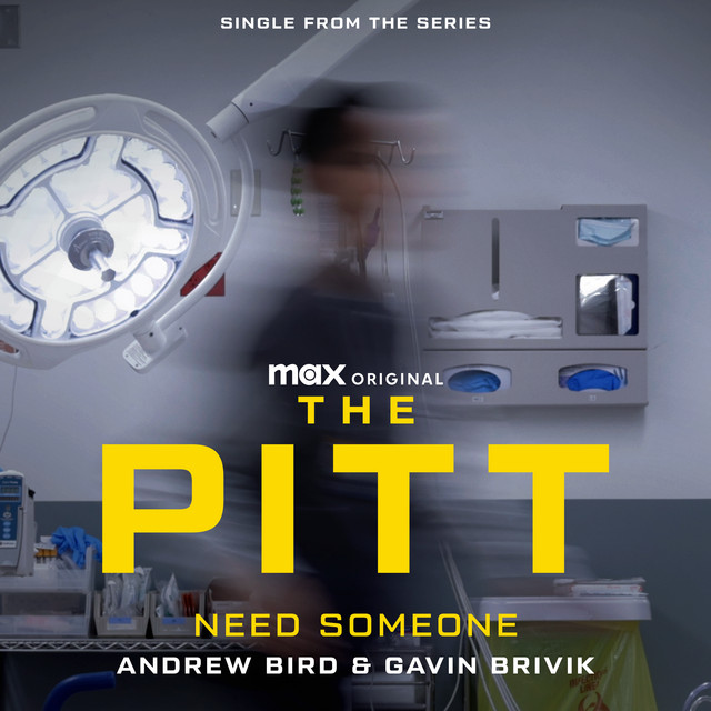 Need Someone — Andrew Bird, Gavin Brivik