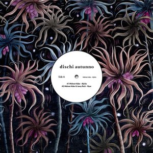 Alysha — Mehmet Aslan