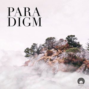 Paradigm — Oliver Schories