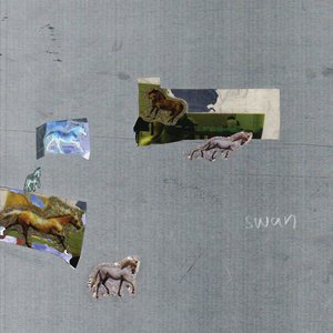 Swan — Fazed on a Pony