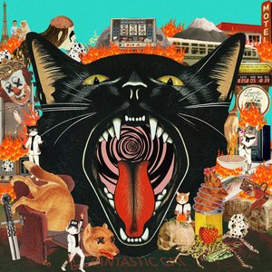 Cat Out Of Hell — Fantastic Cat