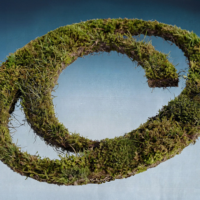 ... (OST Carpetwood) — Carpetman, Clear Man