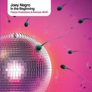 Joey Negro Presents In the Beginning — Raven Maize