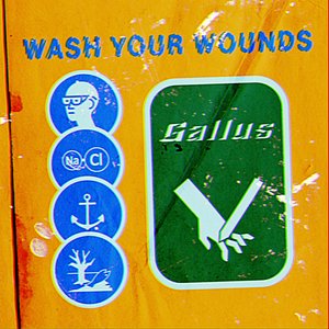 Wash Your Wounds — Gallus