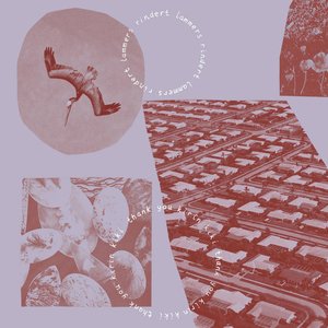 Thank You Kirin Kiki — Rindert Lammers