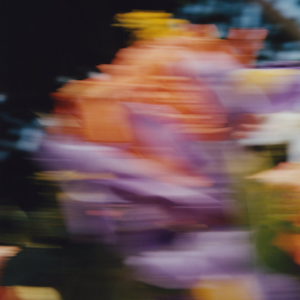 Tides — Catching Flies