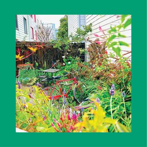 Unwishing Well — The Reds, Pinks and Purples