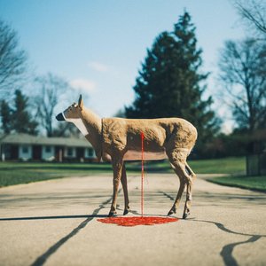 Bastion — Wayne Graham