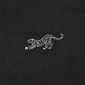 Panorama Olivia — Coca Puma