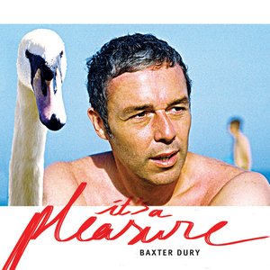 It's A Pleasure — Baxter Dury