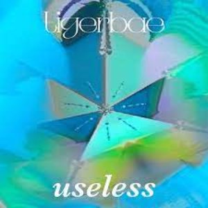 Useless — tiger bae