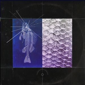 Water dance — Why Kai