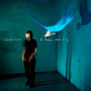 The Machine Starts To Sing — Porridge Radio