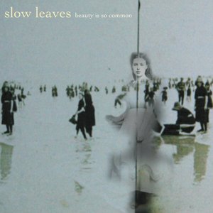 Beauty Is so Common — Slow Leaves