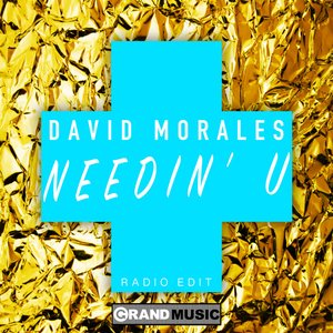 Needin' U (Radio Edit) — David Morales